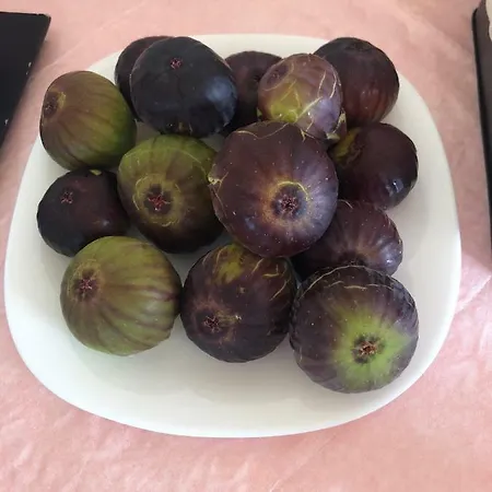 Apart-hotel Podere San Luigi